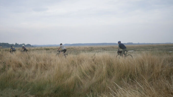 Gravel cycling: sand and heaths on the East Anglian Way